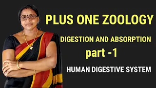 # PLUS ONE ZOOLOGY#Chapter 16 Digestion and Absorption ##Part - 1/ Parts of Human Digestive System #