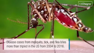 Illnesses on the Rise from Mosquito, Tick, and Flea Bites, May 2018, Vital Signs