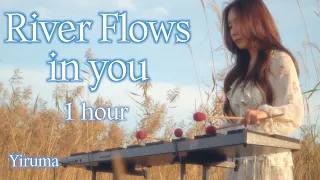 (1시간 반복재생) River Flows in You - Yiruma (이루마) Cover by Marimba