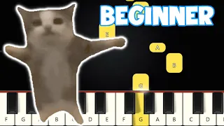 Happy Happy Happy Cat Concert Song Meme - Beginner Piano Tutorial | Easy Piano