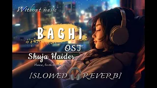 BAGHI | SHUJA HAIDER | WITHOUT MUSIC 🎵| LOFI | SLOWED+REVERB| @Spotify