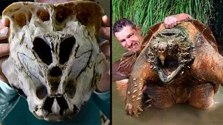 The Most Frightening Prehistoric Creatures
