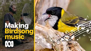 Making birdsong music | Amazing Australia | ABC Australia