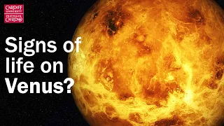 Have we discovered signs of life on Venus?