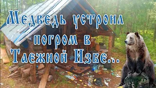 #Тайга #Медведь #Изба ШОК! Бурый медведь вынес избу в тайге Поход в тайгу Фотоловушка Сибирь ХМАО.