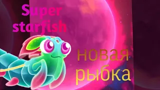 Новая рыбка в игре Super starfish рак-богомол самая редкая рыбка