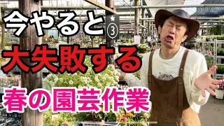 【それだけはやらないで】5月の本当にやるべき園芸作業教えます　　　【カーメン君】【園芸】【ガーデニング】【初心者】