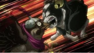 JoJo's Bizarre Adventure「AMV」Iggy Vs Pet Shop