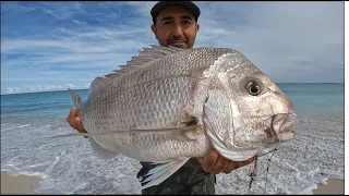Pink Snapper Fishing From The Beach, Perth Western Australia