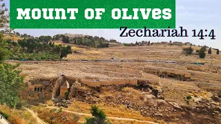 Let's climb MOUNT OF OLIVES from ABSALOM'S TOMB| MOUNT OF OLIVES JERUSALEM.