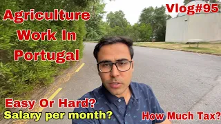 Agriculture Work In Portugal | Agriculture Jobs In Portugal | Agriculture In Portugal |Portugal Jobs