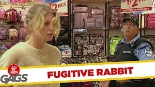 Fugitive in a Bunny Suit Prank