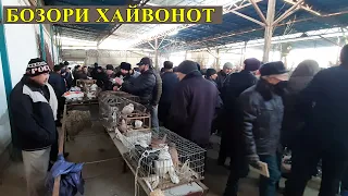 Хучанд !! Бозори парандахо 31 01 2021