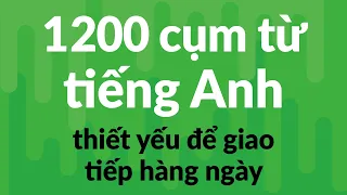 Ghi nhớ 1.000 cụm từ tiếng Anh thiết yếu để giao tiếp hàng ngày (Học trong 4 giờ)