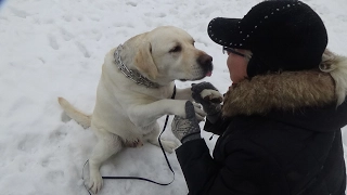 а художник берет краски