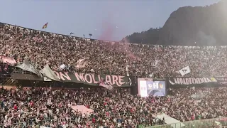 Palermo vs Venezia 0-1