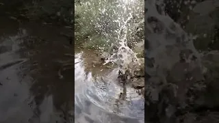 Firecracker Underwater Slow-Motion