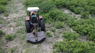 Imagem aérea do trator Massey Ferguson 275 roçando mato na Conceição