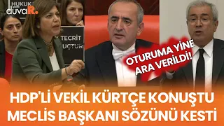 Meclis'te 'anadil' tartışması büyüdü! "Bu ülkede sadece Kürtler yaşamıyor"