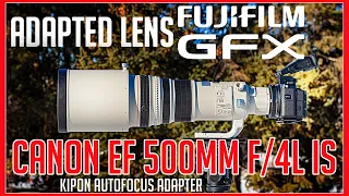 Adapted Lenses on the Fuji GFX- Canon EF 500mm f/4L IS USM