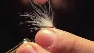 Cdc Light Dun - Dry Fly