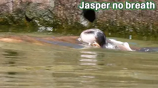 NEARLY lost l-i-f-e by mom terrible careless baby! POOR baby JASPER lost breath by drown in water