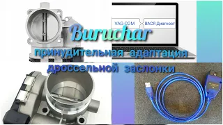 Принудительная адаптация дроссельной заслонки VAG Audi VW Volkswagen Passat Skoda