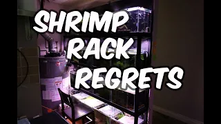 Shrimp Rack Regrets