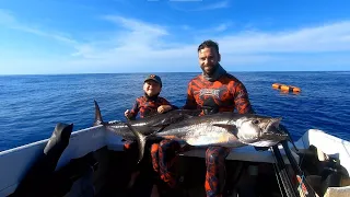 SPEARFISHING FAR NORTH QUEENSLAND - DOGTOOTH TUNA WAHOO DOLPHINFISH Episode 3