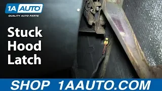 What To Do If You Have a Stuck Hood Latch Or Hood Won't Open