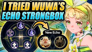 EXTRA DATA BANK EXP! I Tried The ECHO STRONGBOX (DATA MERGE) in WUTHERING WAVES