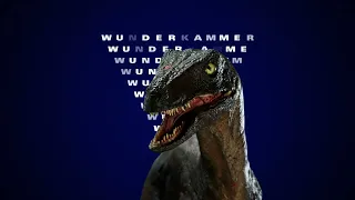 WUNDERKAMMER Zurich promo 3/3