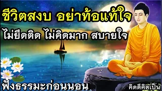 ชีวิตสงบมาก อย่าท้อแท้ใจ สบายใจ🙏ฟังธรรมะก่อนนอน (584)10🙏