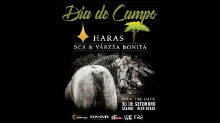 DIA DE CAMPO - LEILÃO HARAS SCA & VÁRZEA BONITA
