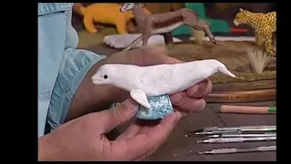 Creations in Clay Beluga white whale - Clay tutorial for beginners