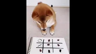 Собака играет в крестики нолики