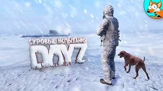 Самое сложное выживание в ледяном аду Намальска в DayZ #1