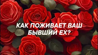 КАК ПОЖИВАЕТ ВАШЬ БЫВШИЙ ЕX?😎♣️