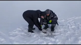 Pull out ILLEGAL NETS Антибрак, борьба с браконьерами сняли кучу сетей за день.