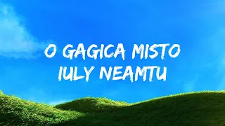 Iuly Neamtu  - O gagica misto | Versuri