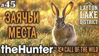 theHunter call of the wild #45 🔫 - Заячьи Места - Винтовка - Заяц