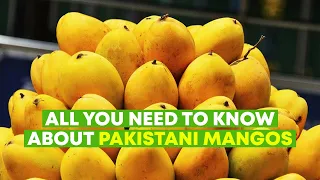 World's Best Mangoes Grow In Pakistan