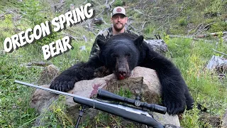 2 BIG BEARS DOWN! - Oregon Spring Bear Season 2020