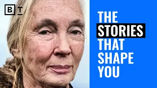 How to tell stories that give you meaning | Jane Goodall, Terry Crews & Dan McAdams