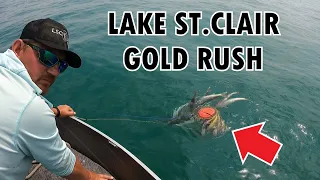 WE FOUND GOLD FISHING LAKE ST.CLAIR - JIGGING WALLEYE AND PERCH on Lake St.Clair