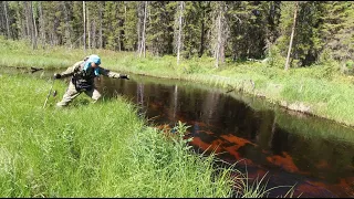 РЫБА ЕСТЬ. Рыбалка на малой реке. Ультралайт на таёжной речке. Рыбалка на севере. Супер результат!