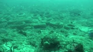 Florida divers trying to clean up failed tire reef