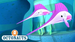 Octonauts - Sailing with the Speedy Sailfish | Cartoons for Kids | Underwater Sea Education