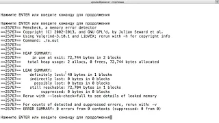 A 01 Использование valgrind (Голубев В.И., 2019)
