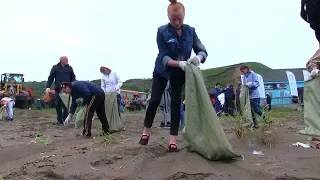 Экологическая акция "Чистый берег - 2019"